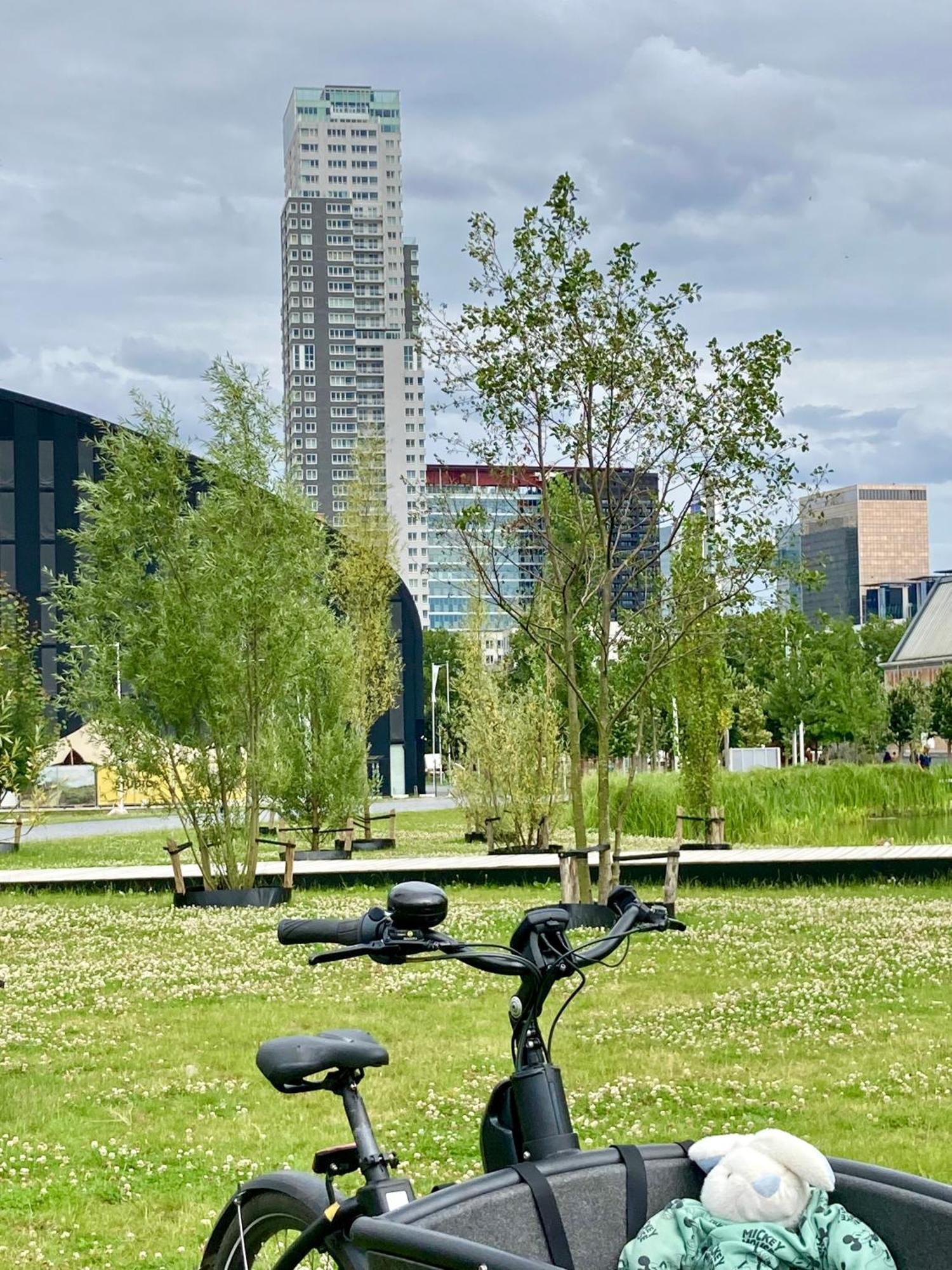 St Catherine - Sweet - Bxl - With View * Bruselas